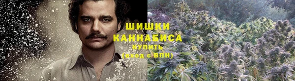 2c-b Алексин