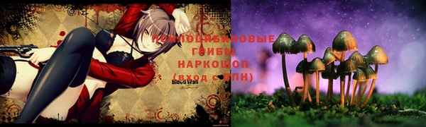 2c-b Алексин